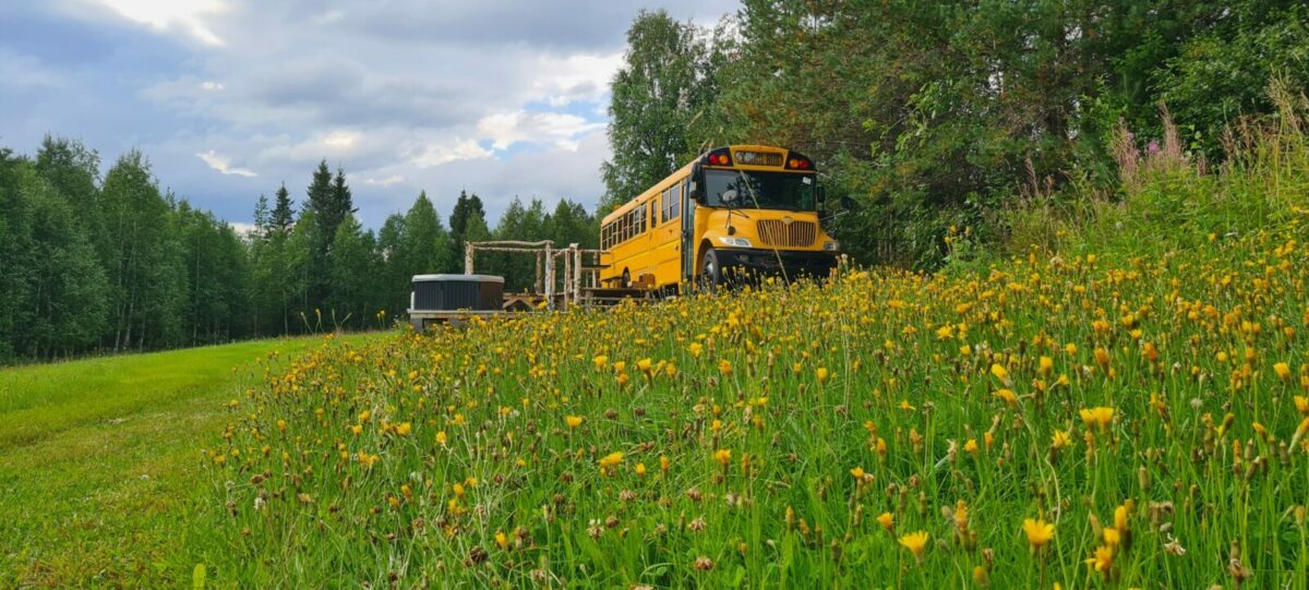 Midnight Sun Skoolie American school bus set in a clearing in the forest on the edge of Oulanka National Park.